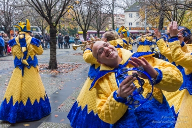IMG_6015 IMG_6015